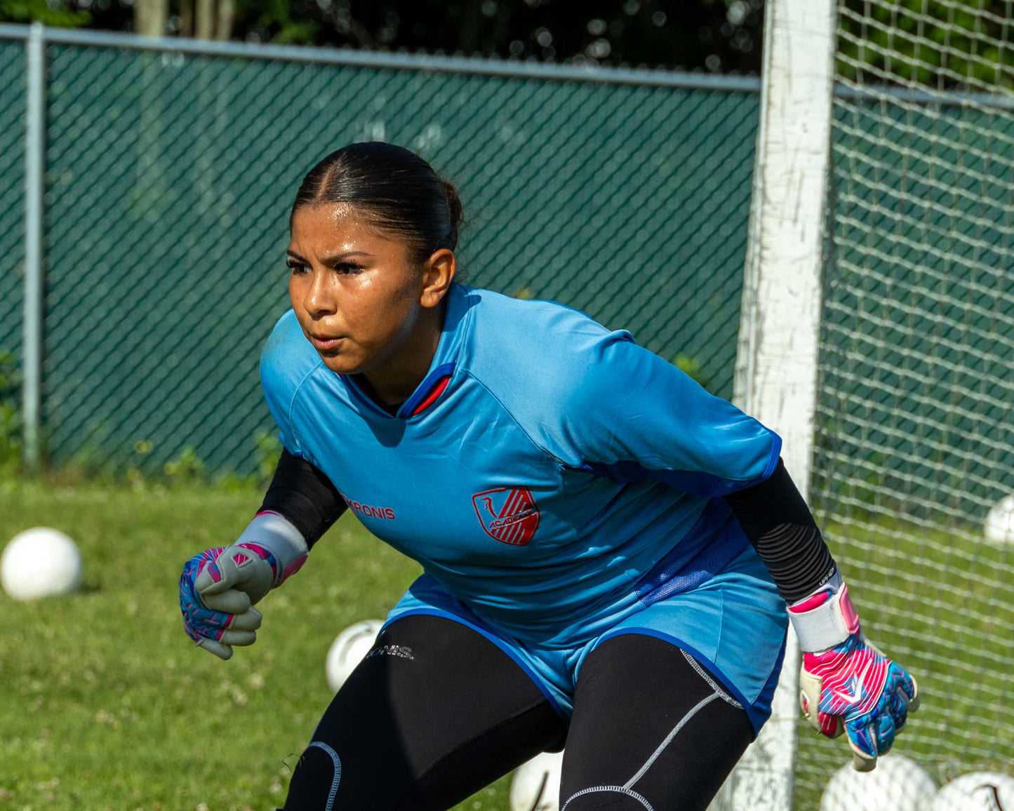 PRO & NCAA  Goalkeeper Camp